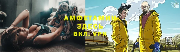 стафф Арсеньев