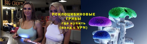 трава Аркадак