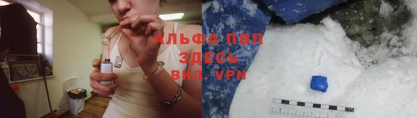 трава Аркадак