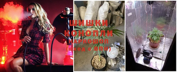 трава Аркадак