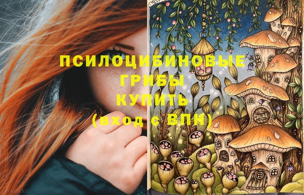 стафф Арсеньев