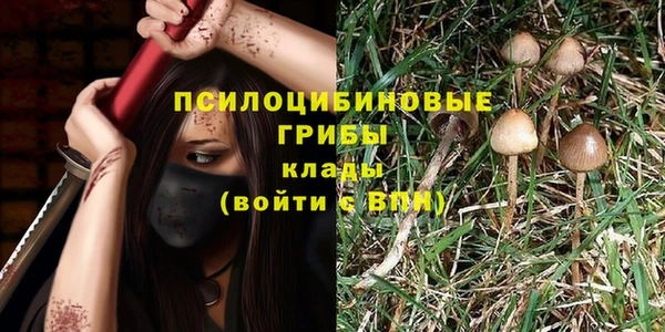 стафф Арсеньев
