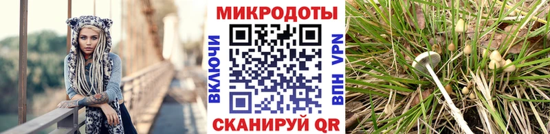 Псилоцибиновые грибы ЛСД  что такое наркотик  Нарткала 